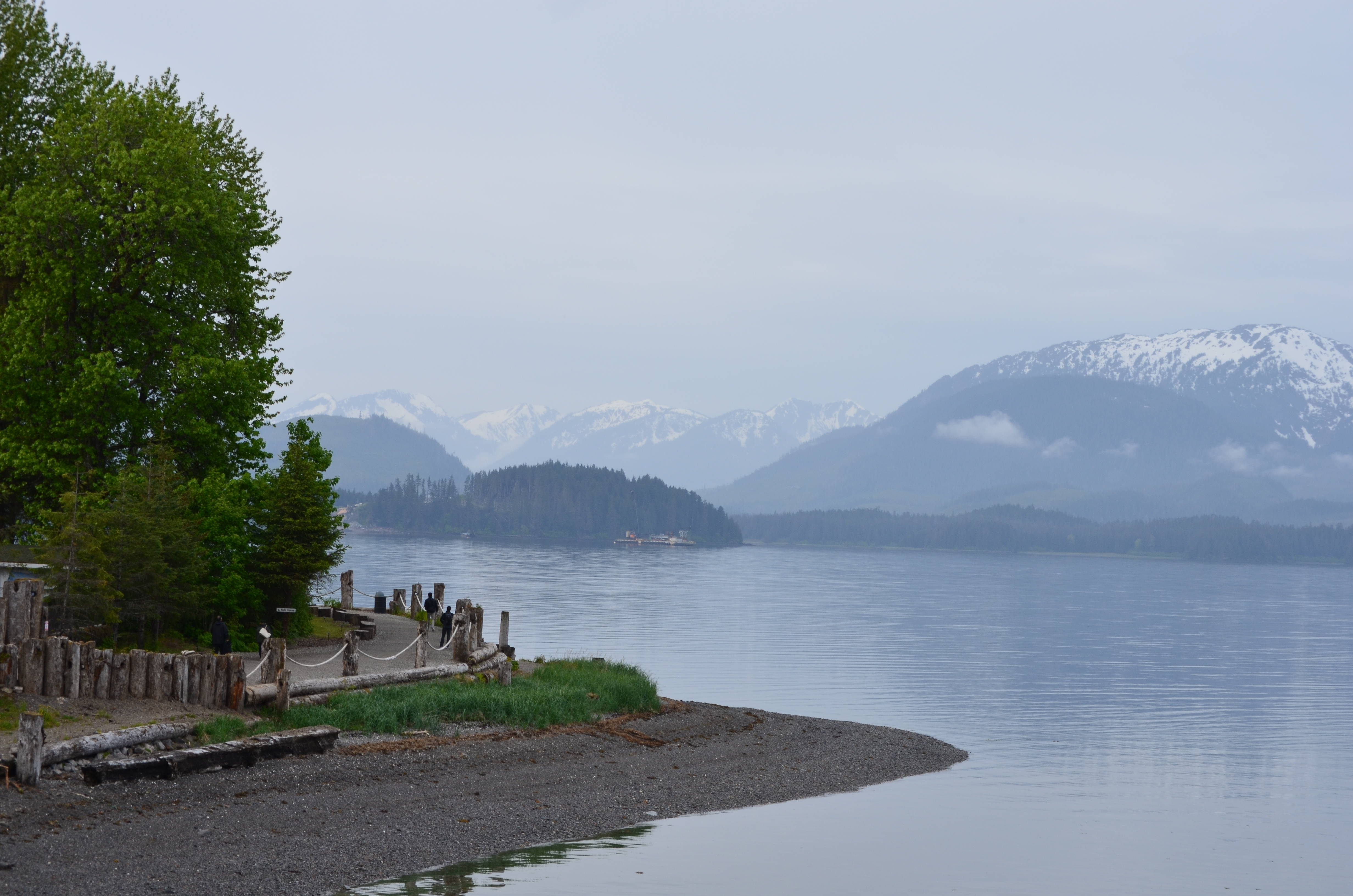 ./2017/08 - Alaska Cruise/10 - Icy Strait Point/DSC_0179.JPG